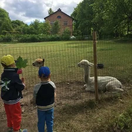 Mathildedal Private Daire Matildedal